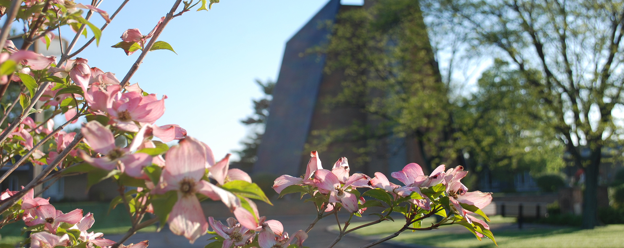 About-Us-Staff0050411-076-2020px-x-803px